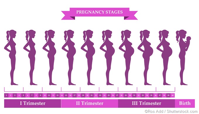 The fourth trimester: What you should know - Harvard Health