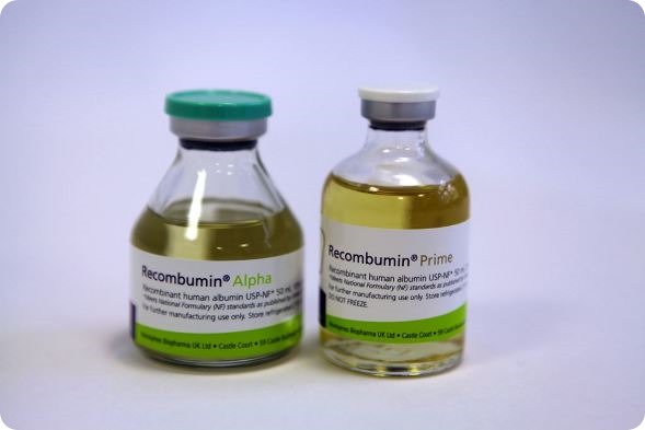Recombinant Albumin Alpha and Prime