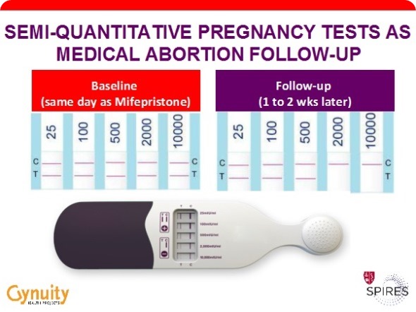 Routine Urine Tests In Pregnancy: Normal Level, Procedure, And Cost -  Queens Health