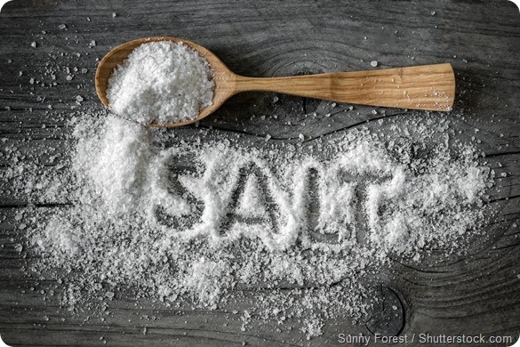 Salt - 590