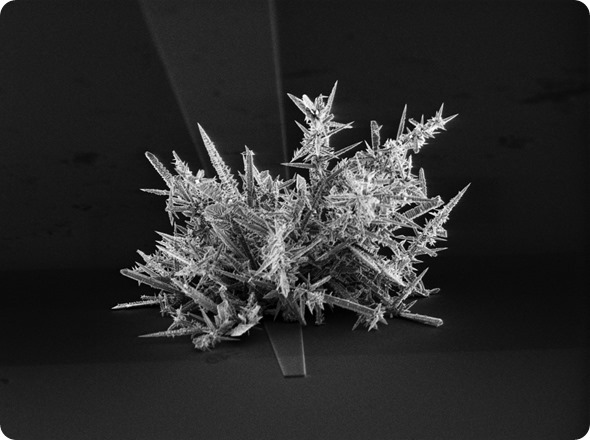 Microelectrodos de Nanostructured para analizar biomarkers