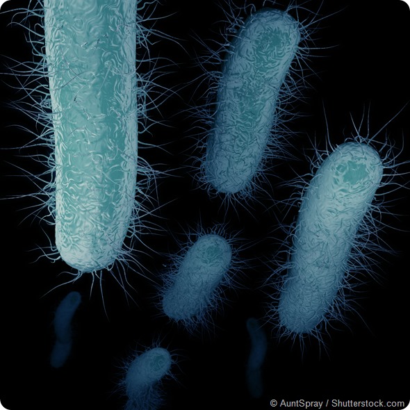Carbapenem-resistant Enterobacteriaceae: an interview with Dr. Michael ...