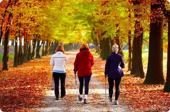 Three women in the park - Nordic walking