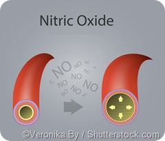 Vasodilation nitric oxide