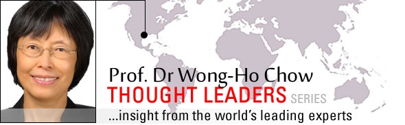 Wong-Ho Chow ARTICLE