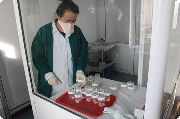 Medecins Sans Frontiers drug doses in Uzbekistan