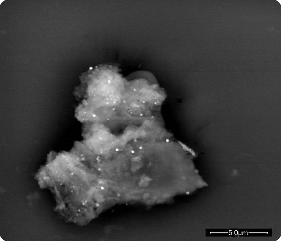 proteic aggregate embedded nanoparticles