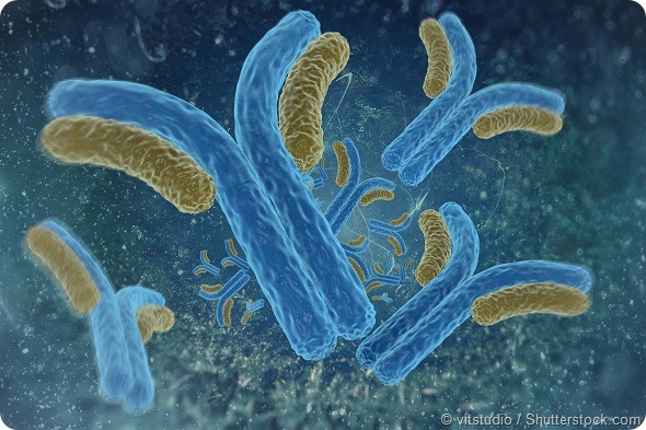 digital illustration antibodies