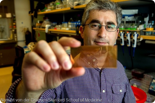 Brian Feldman, MD, a pediatric endocrinologist at the Stanford School of Medicine, holds a plasmonic chip he developed that could improve the ability to diagnose people with type-1 diabetes. Photo taken July 4, 2014.  (Norbert von der Groeben/Stanford School of Medicine )