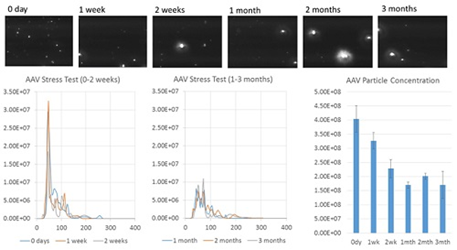 Au-AAV NTA results for AAV at different stages of a thermal stress test