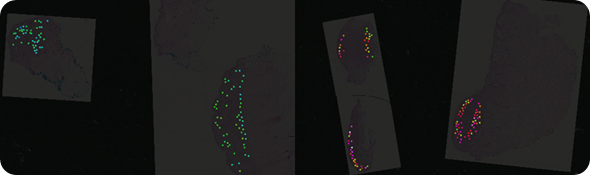 Mass spec image of a peptide at mass 1198.7. The peptide is more highly expressed in malignant lesions (red, pink, white) than in benign lesions (blue, green).