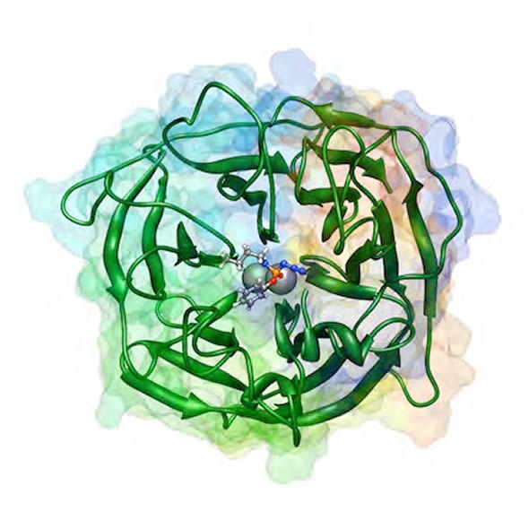 molecular dynamics model