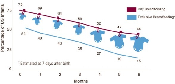 Percentage of any and exclusive breastfeeding by month since birth among US infants born in 2008