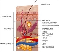 Hair Follicle Tumors