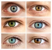 eternally Provisional Through Genetics of Eye Color