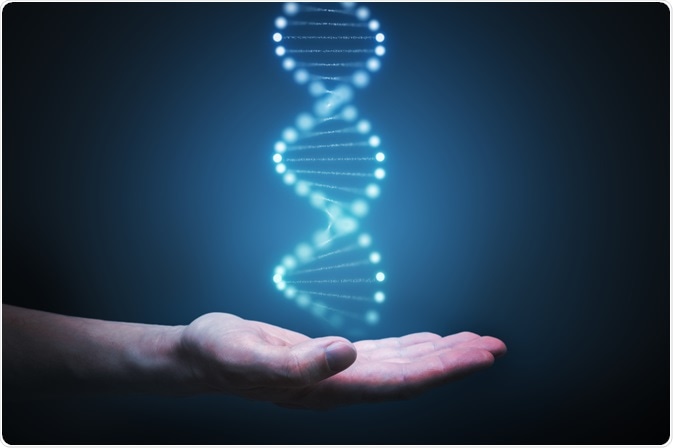 Mão segurando o genoma azul - ilustração do nosso entendimento da teoria neutra da evolução - Por vchal