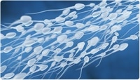 Women Who Eat Sperm