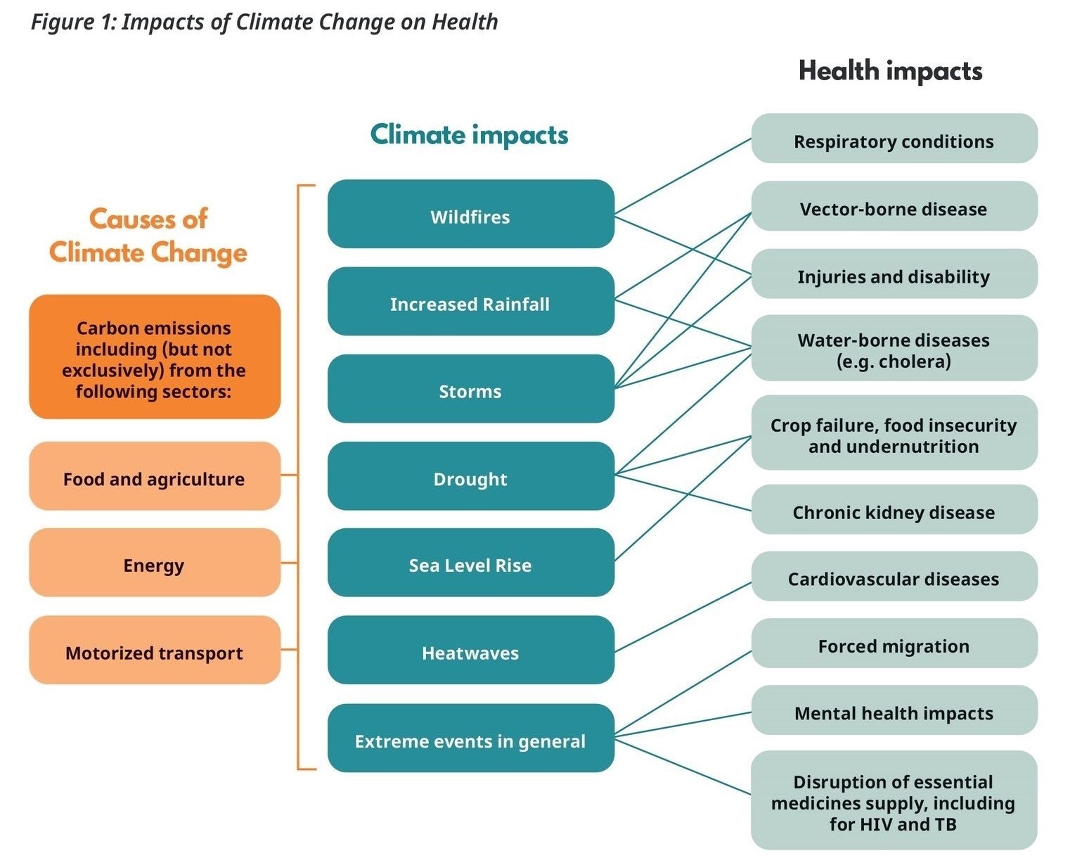 medical research foundation impact of climate change on health