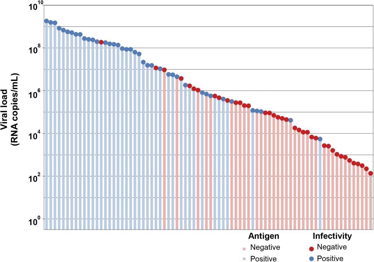 Correlation of antigen test positivity with tissue culture positivity. Clinical naso-oropharyngeal swab samples were submitted for SARS-CoV-2 RT-PCR testing using an in-house N-gene assay. Residual volume was tested for viral infectivity by cell culture (circles), and antigen testing using the Abbott PanBio ™ COVID-19 Ag test kit (bars). Colouring represents a positive sample (blue) or a negative sample (red).