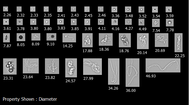 Flowcam Particle Biopharmaceuticals and Flow Imaging Microscopy