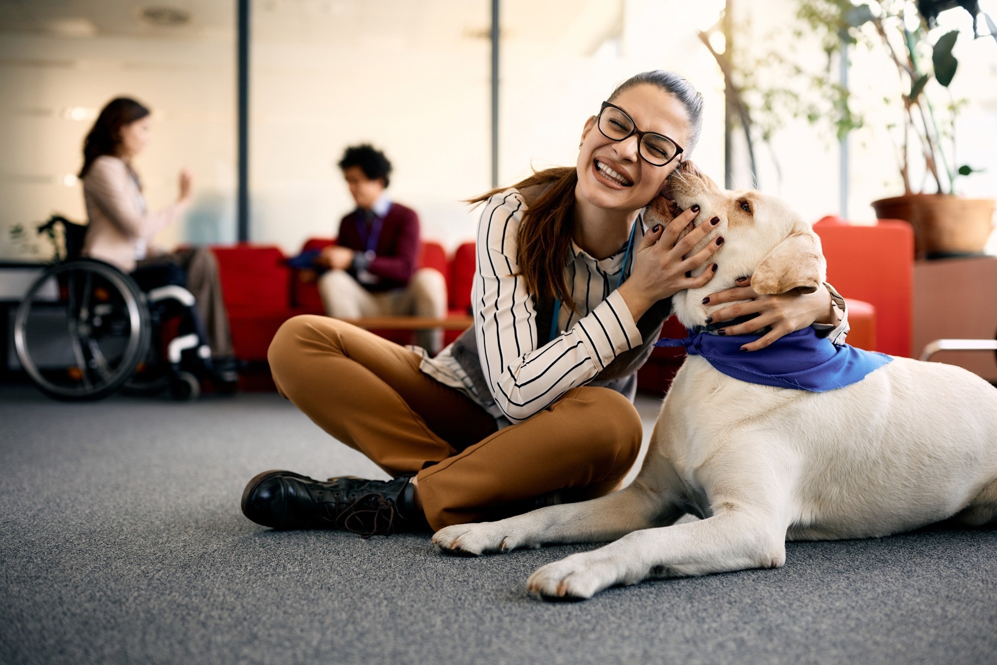 Therapy dogs help first-year students cope with stress, depression, and ...