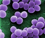 New document discusses how to prevent staphylococcus aureus infections in critically ill infants