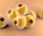 Genes Determining the Browning of White Fat finds Study