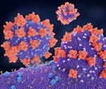 Massive proteomics investigation of COVID-19 infection