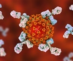 Coronavirus disease immunity fades within a few months, study finds