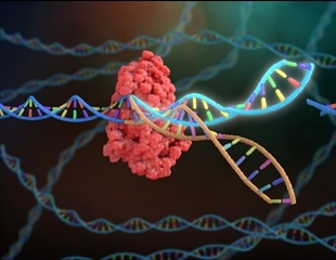 Deciphering the largest CRISPR system
