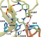 New insights into structural stability of SARS-CoV-2 main protease