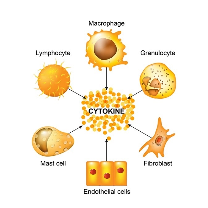 What are Cytokines?