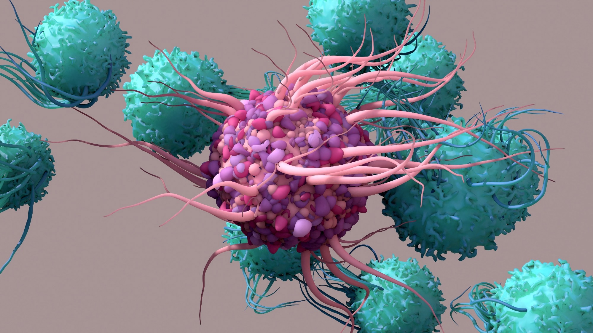 Dendritic Cell activate T cells, trigger immune responses. Image Credit: Design_Cells / Shutterstock