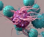 What are Dendritic Cells?
