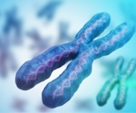 What is Chromosome 2?