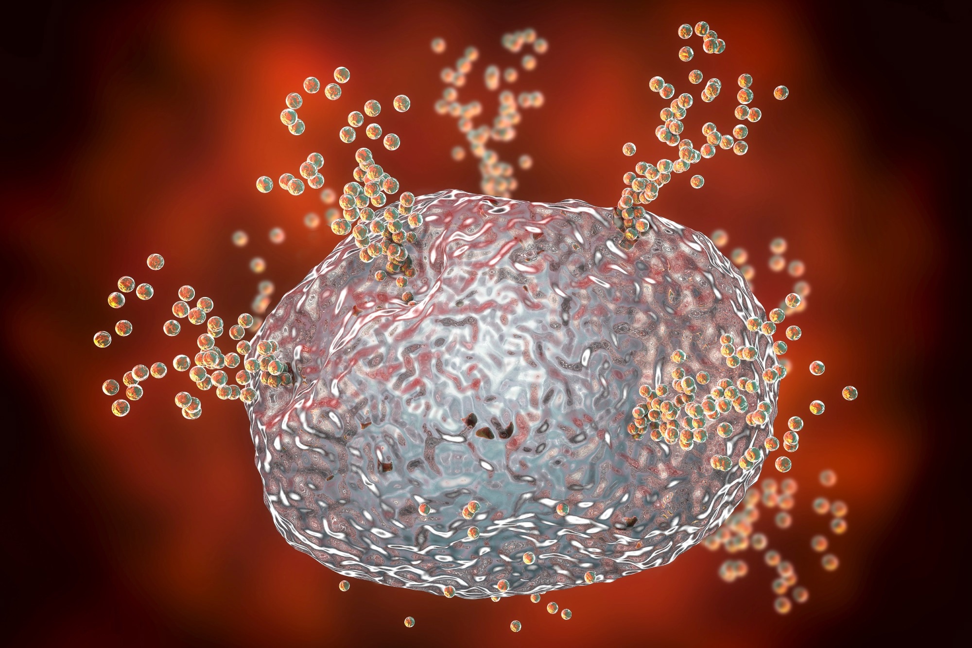 Mast cell releasing histamine during allergic response, 3D illustration