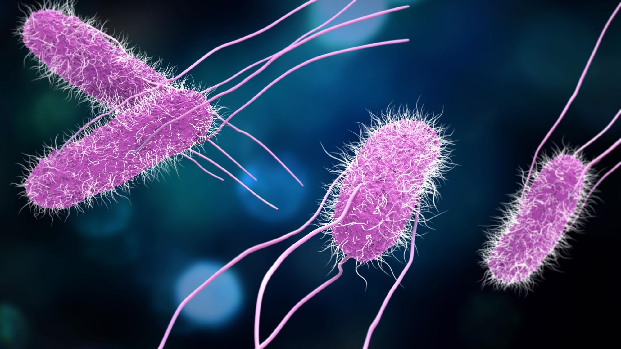 3D illustration of Salmonella Bacteria. Image Credit: urfin / Shutterstock