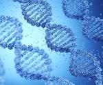 The Importance of Genetic Counseling In Healthcare And Medicine