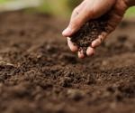 Using Biochemistry to Investigate Soil