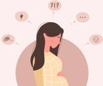 The Role of the Placenta in Maternal Mental Health