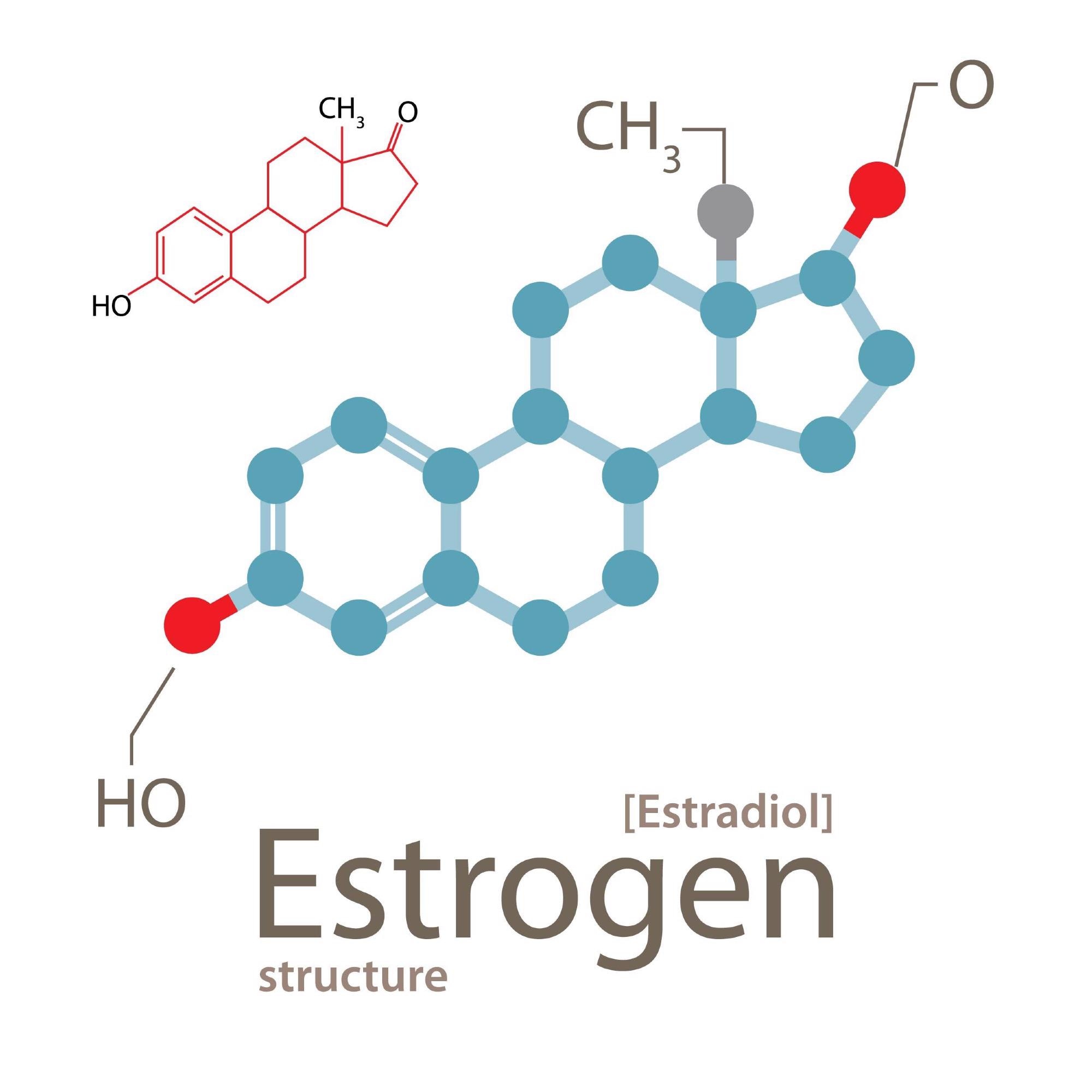 The Role of Estrogen in Men’s Health