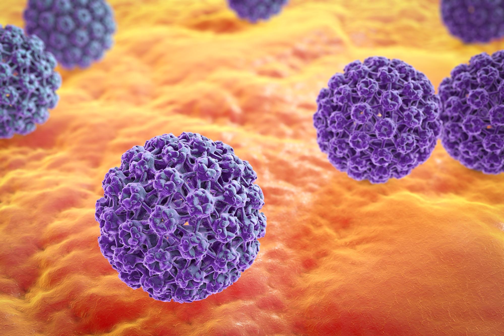 Human papillomavirus. Image Credit: Kateryna Kon / Shutterstock