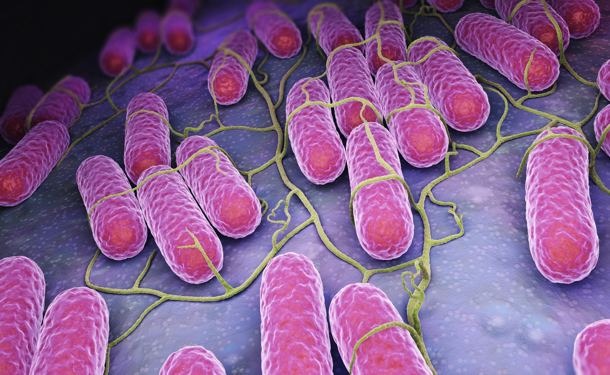 ​​​​​​​Salmonella bacteria. Image Credit: Tatiana Shepeleva / Shutterstock