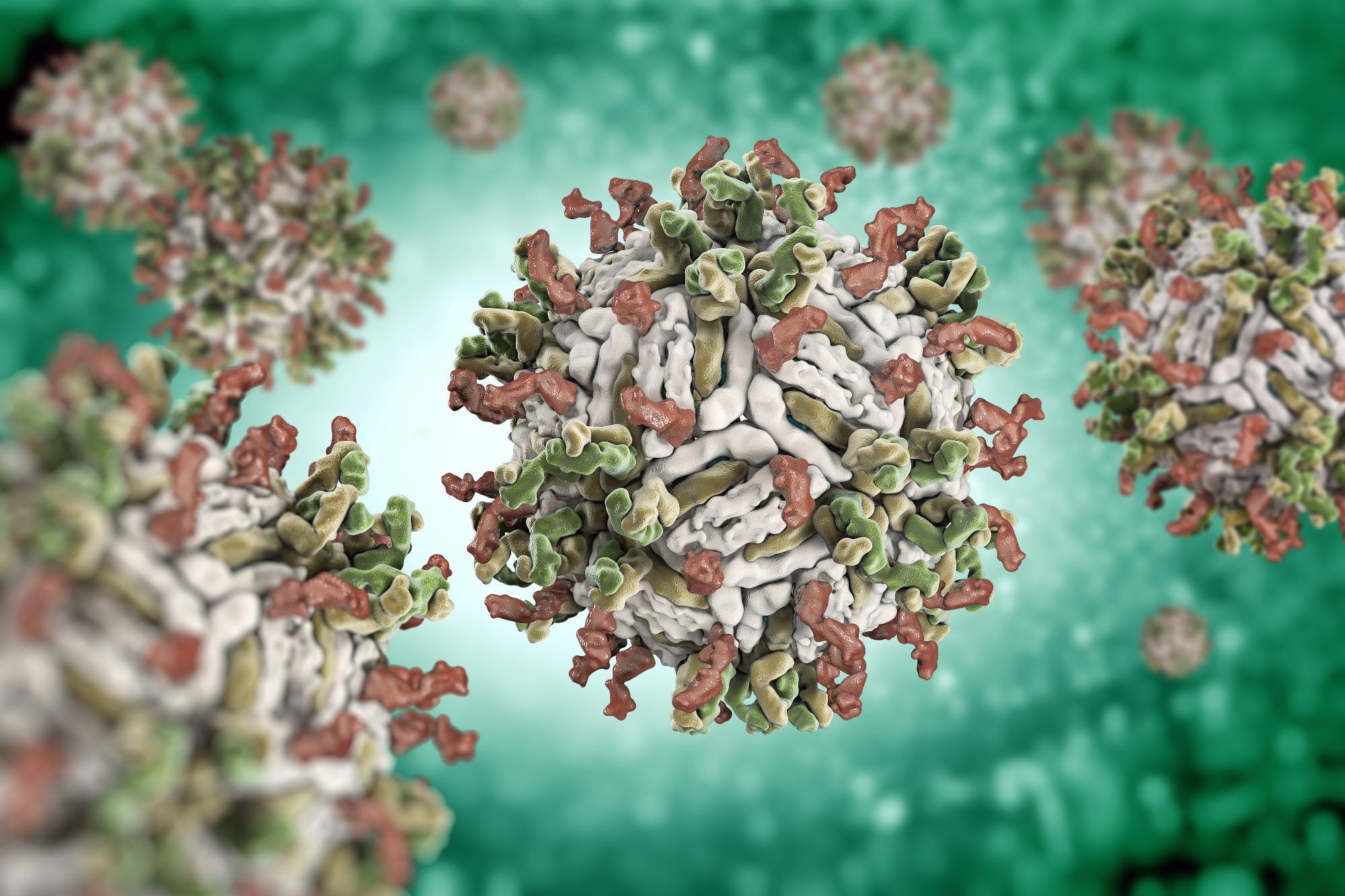 Dengue virus illustration. Image Credit: vitstudio / Shutterstock