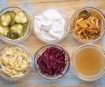 What are the Health Benefits of Fermented Foods?