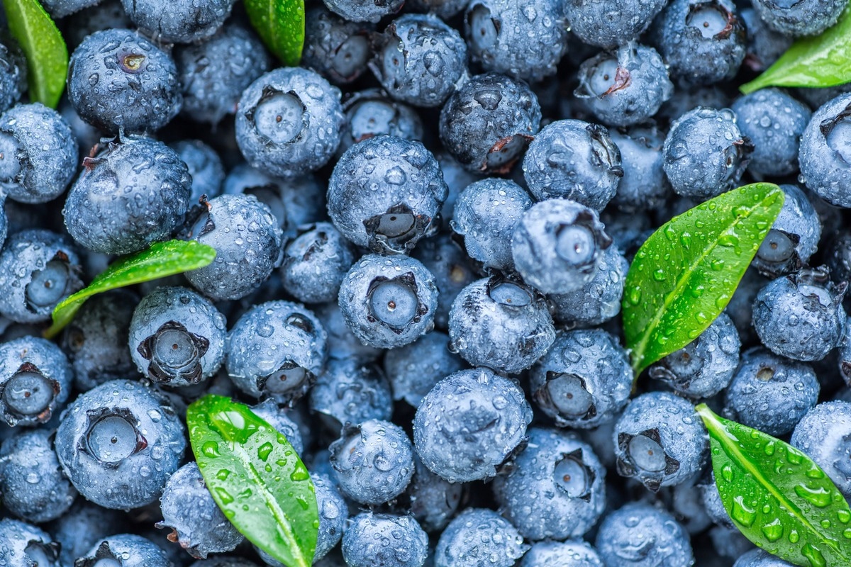Health Benefits of Blueberries - News-Medical