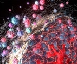 What is the Tumor Microenvironment?