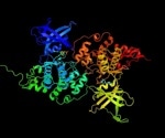 An Overview of Enzymology