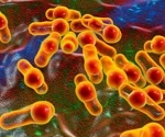 Current Challenges Surrounding Clostridium Difficile Infection