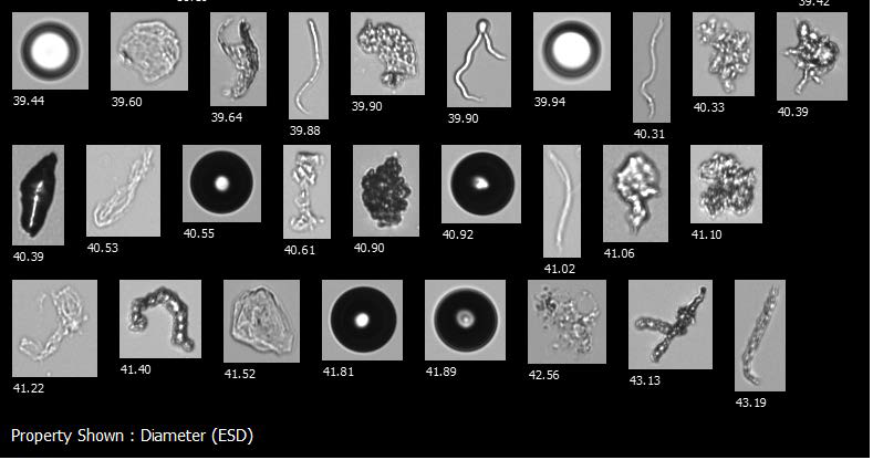 A FlowCam collage showing air bubbles, silicone oil droplets, protein aggregates, and other potential foreign contaminants in a biotherapeutic sample